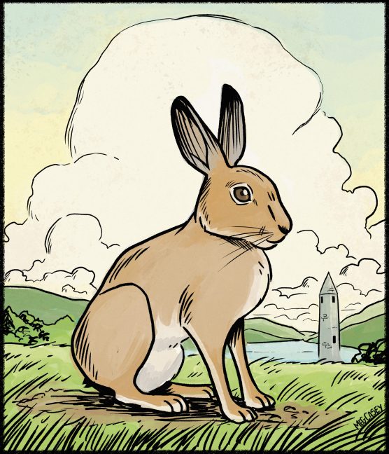 rabbit_yeats2flatweb